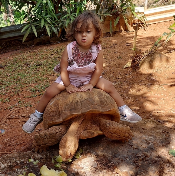 Meet Posher / Closet Info. Rules - Picture 7 of 12